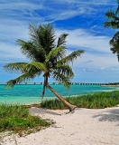 ftflorida039
