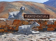 ftfuerteventura015