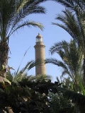 ftgcanaria013