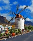 ftgcanaria002