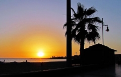 ftlagomera007